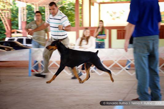 Clique sobre a foto para fechar